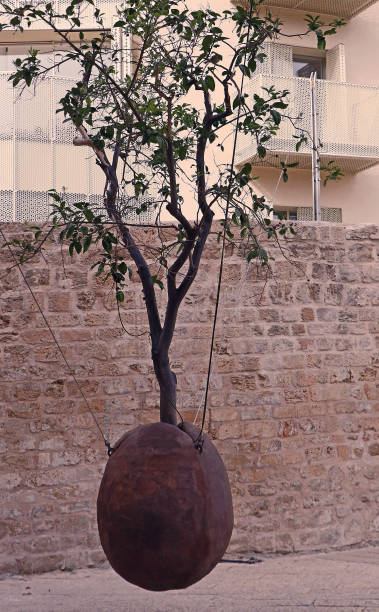 istock Jaffa orange tree planted in Israel 1060683530