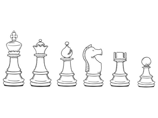 벡터 집합 블랙 스케치 체스 조각입니다. 왕에 게 볼모. - black hobbies chess knight chess stock illustrations