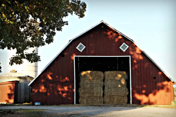 Big red barn in the country with open doors showing stacks of hay bales. Blue skies and the morning sun glow give a peaceful feeling to this image.