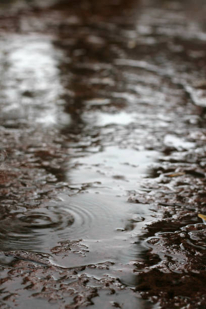istock rain drops and puddles on wet surface on a gloomy day 1060686556