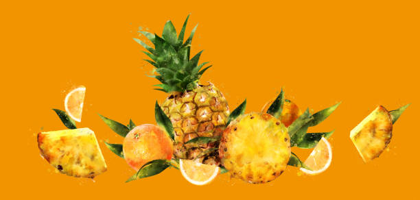 istock Pineapple on orange background. Watercolor hand-painted illustration 1060690272
