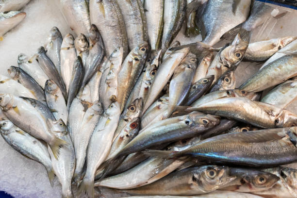 istock Fresh fishes on ice 1060696178