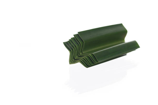 Fresh green pandan leaves isolated on white background.