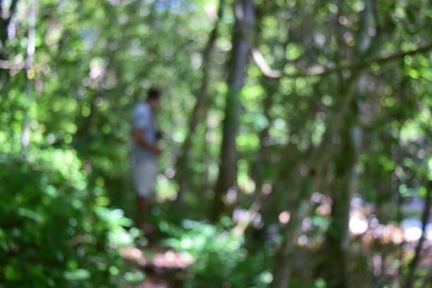 istock Man walking in a forest, apprciating the nature 1060699638