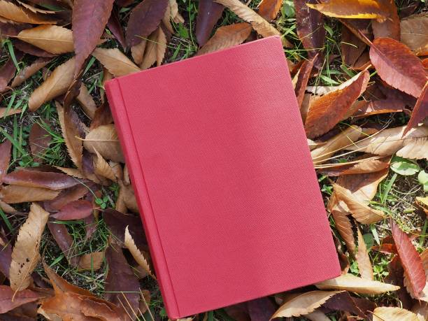 istock Books and autumn maple leaves 1060700016