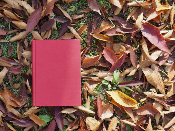 istock Books and autumn maple leaves 1060700022