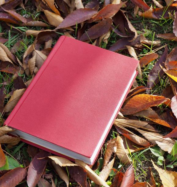 istock Books and autumn maple leaves 1060700032