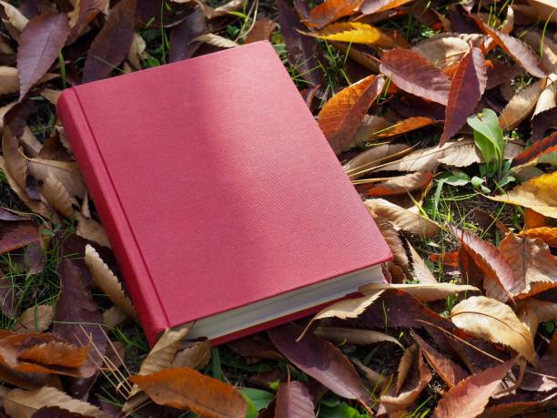 istock Books and autumn maple leaves 1060700034