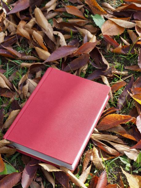 istock Books and autumn maple leaves 1060700036