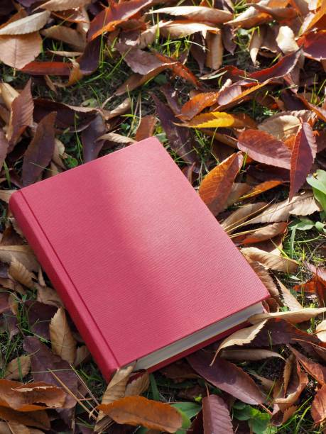 istock Books and autumn maple leaves 1060700046