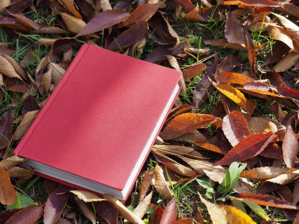 istock Books and autumn maple leaves 1060700054