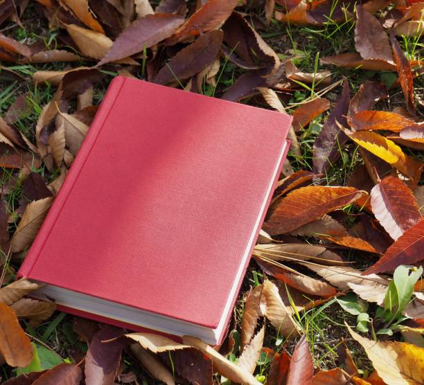 istock Books and autumn maple leaves 1060700056