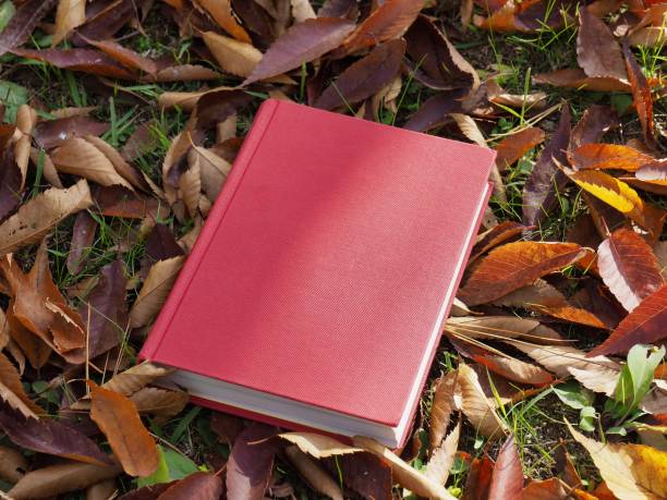 istock Books and autumn maple leaves 1060700058