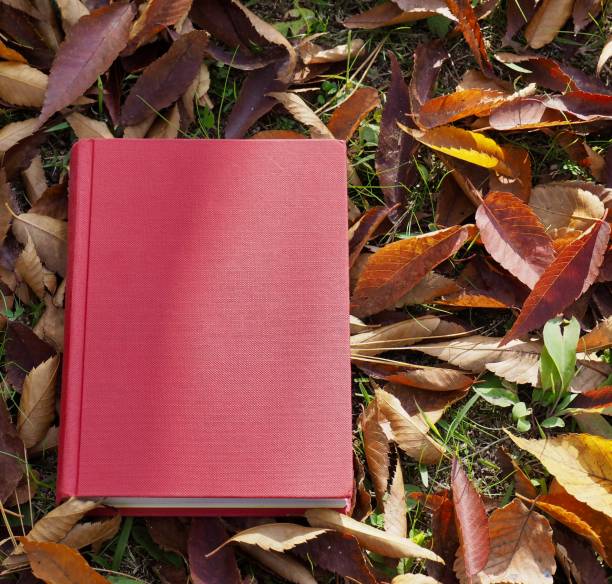 istock Books and autumn maple leaves 1060700060