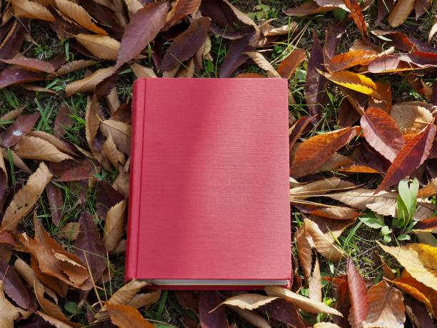 istock Books and autumn maple leaves 1060700064