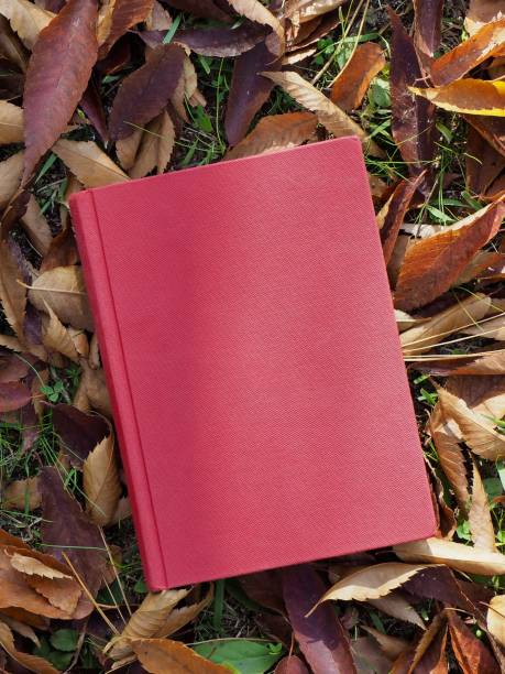 istock Books and autumn maple leaves 1060700072