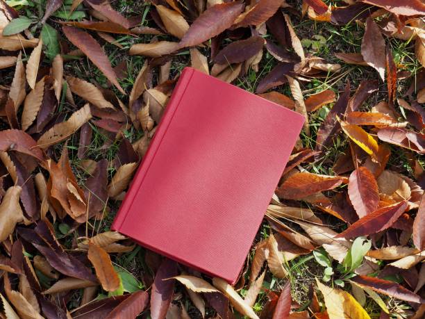 istock Books and autumn maple leaves 1060700080