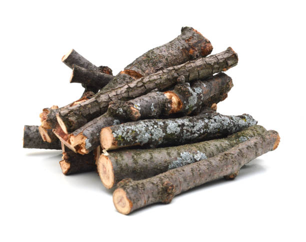 istock Twigs of wood 1060710788