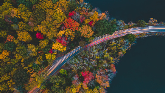 Aerial view in the autumn of the road with cars passing in long exposure, photo made with drone.