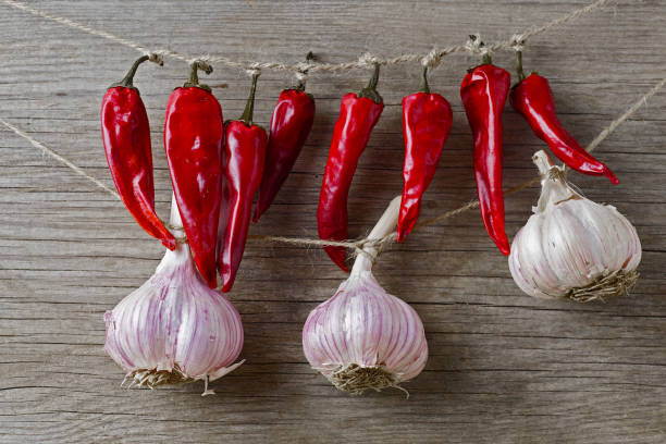 garlic bulbs and dried chili peppers hanging on a rope