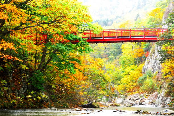 istock Futami Suspension Bridge in Jozankei 1060732200