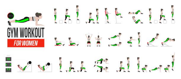 Set of sport exercises Set of sport exercises. Exercises with free weight. Exercises in a gym. Illustration of an active lifestyle Vector burpee stock illustrations