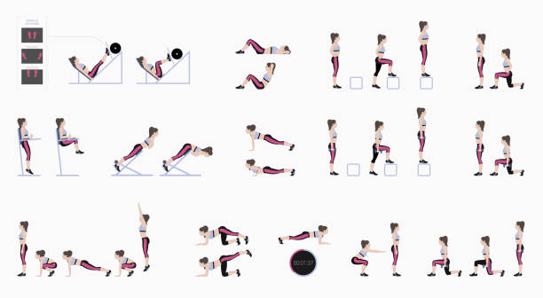 Set of sport exercises Set of sport exercises. Exercises with free weight. Exercises in a gym. Illustration of an active lifestyle Vector burpee stock illustrations