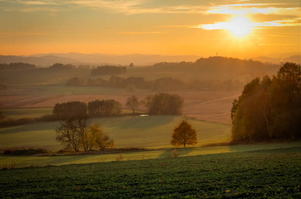 istock Nice sunset with hill and trees, Czech republic 1060759020