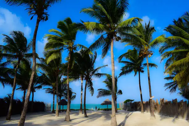 Bwejuu Palm beach