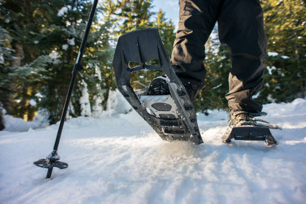 Nahaufnahme der Wanderer auf Pfad durch den Winterwald, Kanada Schneeschuhwandern – Foto