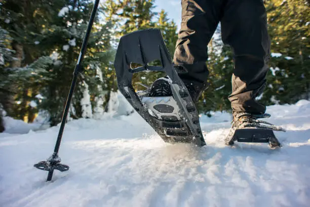 Photo of Closeup of Hiker Snowshoeing on Trail Through Winter Forest, Canada