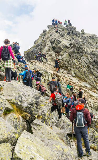 multitudes de turistas en la parte superior de rysy. las montañas de tatra. - adulation little boys group of people teenage girls fotografías e imágenes de stock