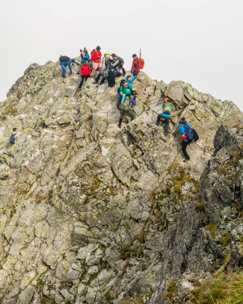 turistas en su camino hacia el pico rysy popular. las montañas de tatra. - adulation little boys group of people teenage girls fotografías e imágenes de stock