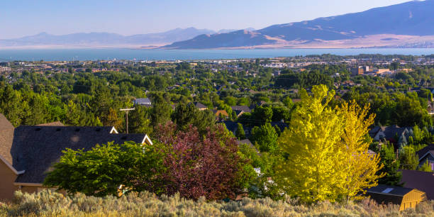 Homes around Utah lake and mountain in Orem Utah Sun shining down amid lush trees in the Utah Valley at Orem, Utah. A view of the Utah Lake and huge mountain can be seen in the background. lake utah stock pictures, royalty-free photos & images