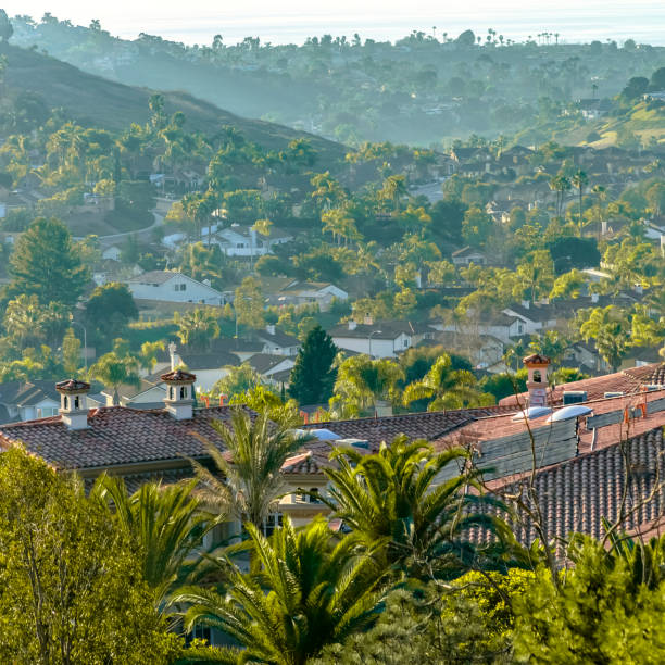 istock Homes and curving roads on a hill in San Clemente 1060779066