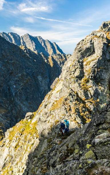 escaladores en una zona de montaña fácil se están preparando para subir. - adulation little boys group of people teenage girls fotografías e imágenes de stock