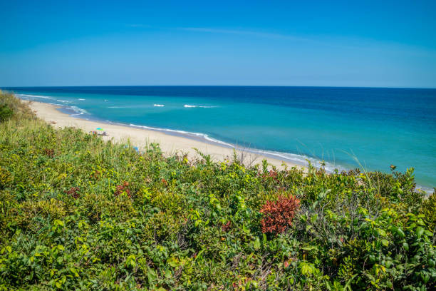 케이프 코드 국립 해안, 매사 추세 츠에서에서 마르코니 비치 - cape cod national seashore 뉴스 사진 이미지