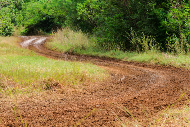 estrada da floresta de lama e barro na tailândia rural - mud car wet horizontal - fotografias e filmes do acervo