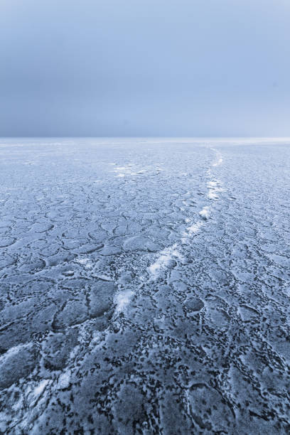 istock mist on a frozen lake 1060785084
