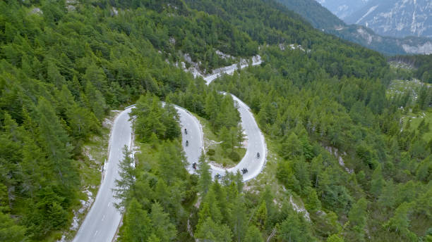 istock View of forest with winding road 1060789156