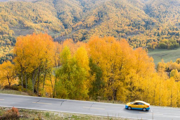 istock beautiful autumn landscape and road 1060790840