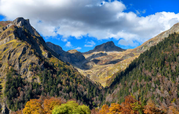 istock mountain autumn landscape with colorful forest 1060791136