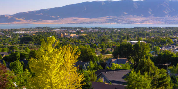 Homes with Utah lake and mountain in Orem Utah Homes with Utah lake and mountain in Orem Utah. View of homes with abundant trees in Orem, Utah on a sunny day. The calm Utah Lake and a majestic mountain can be seen in the distance. lake utah stock pictures, royalty-free photos & images