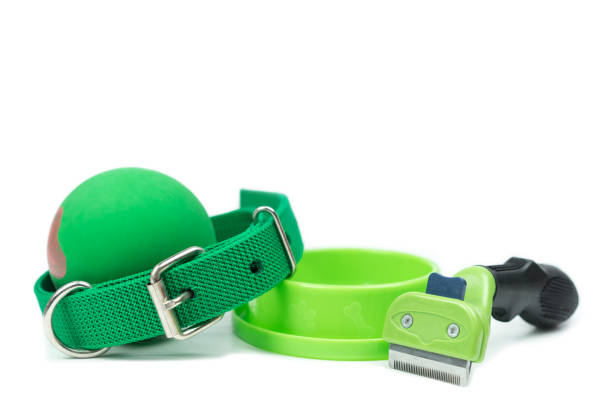 istock Pet accessories concept.  Bowls, Rubber toy, Collars and brush on isolated white background. 1060794568