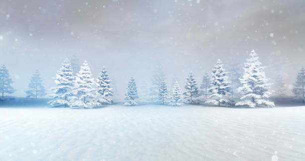istock magic calm winter forest at daylight with snow drops 1060795764