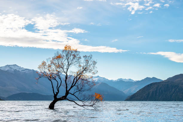 istock 