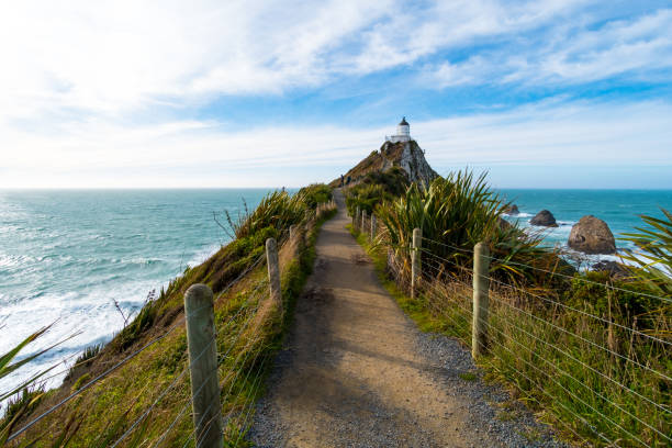 istock Nugget Point, Rocks cliffs, and beautiful ocean. A path to Lighthouse. The Catlins, New Zealand. 1060800802