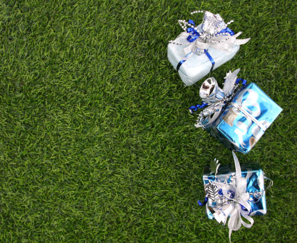 istock Christmas decorations on a backdrop of green lawn. 1060803976