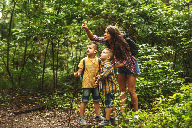 istock Mother and her little sons hiking trough forest . 1060806772