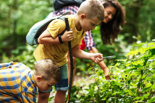 istock Mother and her little sons hiking trough forest . 1060806840
